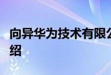向异华为技术有限公司中东非洲区总裁详细介绍