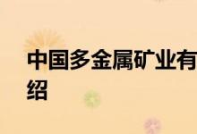 中国多金属矿业有限公司CEO朱晓林详细介绍