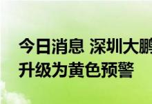 今日消息 深圳大鹏、盐田和东西部海区台风升级为黄色预警