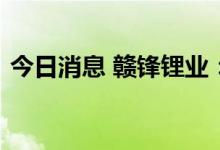 今日消息 赣锋锂业：证监会决定对公司立案