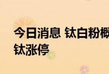 今日消息 钛白粉概念板块开盘冲高，攀钢钒钛涨停