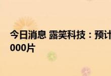 今日消息 露笑科技：预计年底可实现碳化硅衬底片月产能5000片