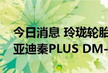 今日消息 玲珑轮胎旗下高端轮胎品牌配套比亚迪秦PLUS DM-i