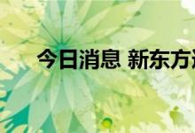 今日消息 新东方逆市走高，现涨5.2%