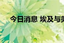 今日消息 埃及与美国空军举行联合军演