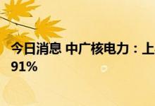 今日消息 中广核电力：上半年核电机组总发电量同比下降1.91%