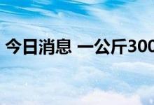 今日消息 一公斤300元！多晶硅涨至“天价”