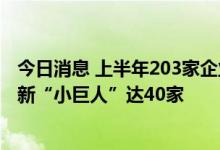 今日消息 上半年203家企业申请挂牌新三板，国家级专精特新“小巨人”达40家