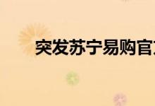 突发苏宁易购官方澄清破产清算谣言