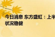 今日消息 东方盛虹：上半年累计新增借款197.71亿元 财务状况稳健
