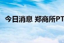 今日消息 郑商所PTA期货主力合约大跌6%