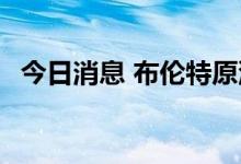 今日消息 布伦特原油重回100美元/桶上方