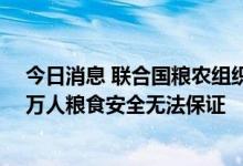 今日消息 联合国粮农组织：2019年至2021年巴西约6000万人粮食安全无法保证