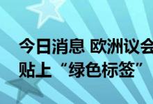 今日消息 欧洲议会投票支持给天然气和核能贴上“绿色标签”
