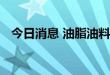 今日消息 油脂油料期货主力合约持续上涨