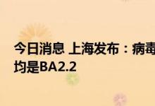 今日消息 上海发布：病毒基因测序没发现BA.5变异株 目前均是BA2.2