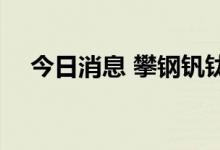 今日消息 攀钢钒钛触及涨停 走出五连扳
