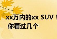 xx万内的xx SUV！车企大佬新车宣传语盘点 你看过几个