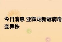 今日消息 亚辉龙新冠病毒抗原检测试剂盒可有效检测出多种变异株