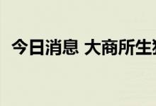 今日消息 大商所生猪期货主力合约大涨5%