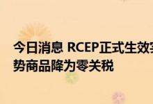 今日消息 RCEP正式生效实施已满半年 广西358项进出口优势商品降为零关税