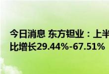 今日消息 东方钽业：上半年预计净利8500万元-1.1亿元 同比增长29.44%-67.51%