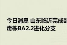今日消息 山东临沂完成部分病例基因测序 为奥密克戎变异毒株BA2.2进化分支