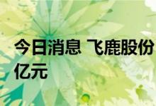 今日消息 飞鹿股份：拟定增募资不超过1.095亿元