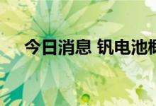 今日消息 钒电池概念板块开盘大幅走低