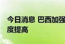 今日消息 巴西加强非法伐木打击力度 罚款额度提高