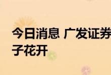 今日消息 广发证券：氢风徐来 静待产业链落子花开
