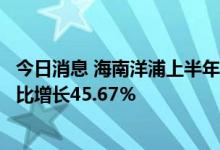 今日消息 海南洋浦上半年完成集装箱吞吐量82.29万标箱 同比增长45.67％