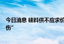 今日消息 硅料供不应求价格创新高  中下游企业直呼“很受伤”