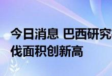今日消息 巴西研究机构：6月份亚马孙森林砍伐面积创新高