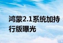 鸿蒙2.1系统加持：华为Freebuds Pro 2国行版曝光