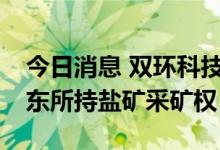 今日消息 双环科技：拟2.35亿元购买控股股东所持盐矿采矿权
