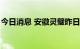 今日消息 安徽灵璧昨日新增1例初筛阳性人员