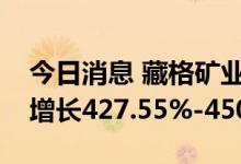 今日消息 藏格矿业：预计上半年净利润同比增长427.55%-450.00%
