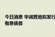 今日消息 华润置地拟发行20亿公司债， 其中10亿用于偿还有息债务