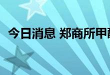 今日消息 郑商所甲醇期货主力合约大跌5%