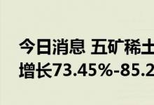今日消息 五矿稀土：预计上半年净利润同比增长73.45%-85.26%