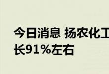 今日消息 扬农化工：预计上半年净利同比增长91%左右