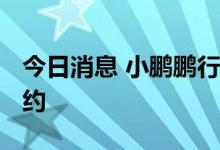 今日消息 小鹏鹏行完成超1亿美元A轮融资签约