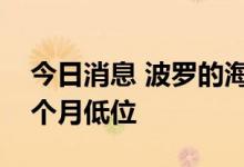今日消息 波罗的海干散货运价指数下跌至五个月低位