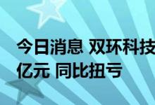 今日消息 双环科技：上半年预盈4.8亿元-5.3亿元 同比扭亏