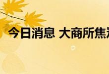 今日消息 大商所焦炭期货主力合约大跌4%