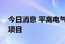 今日消息 平高电气：中标国家电网招标采购项目
