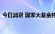 今日消息 国家大基金持股概念板块异动下跌