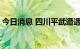今日消息 四川平武遭遇暴雨突袭 有人员伤亡