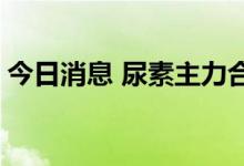 今日消息 尿素主力合约盘中跳水 跌超4.00%